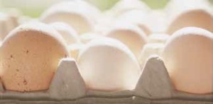 There is demand across many institutions in Vermont for local eggs.