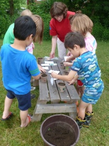 Preschool students fill their pots with dirt.